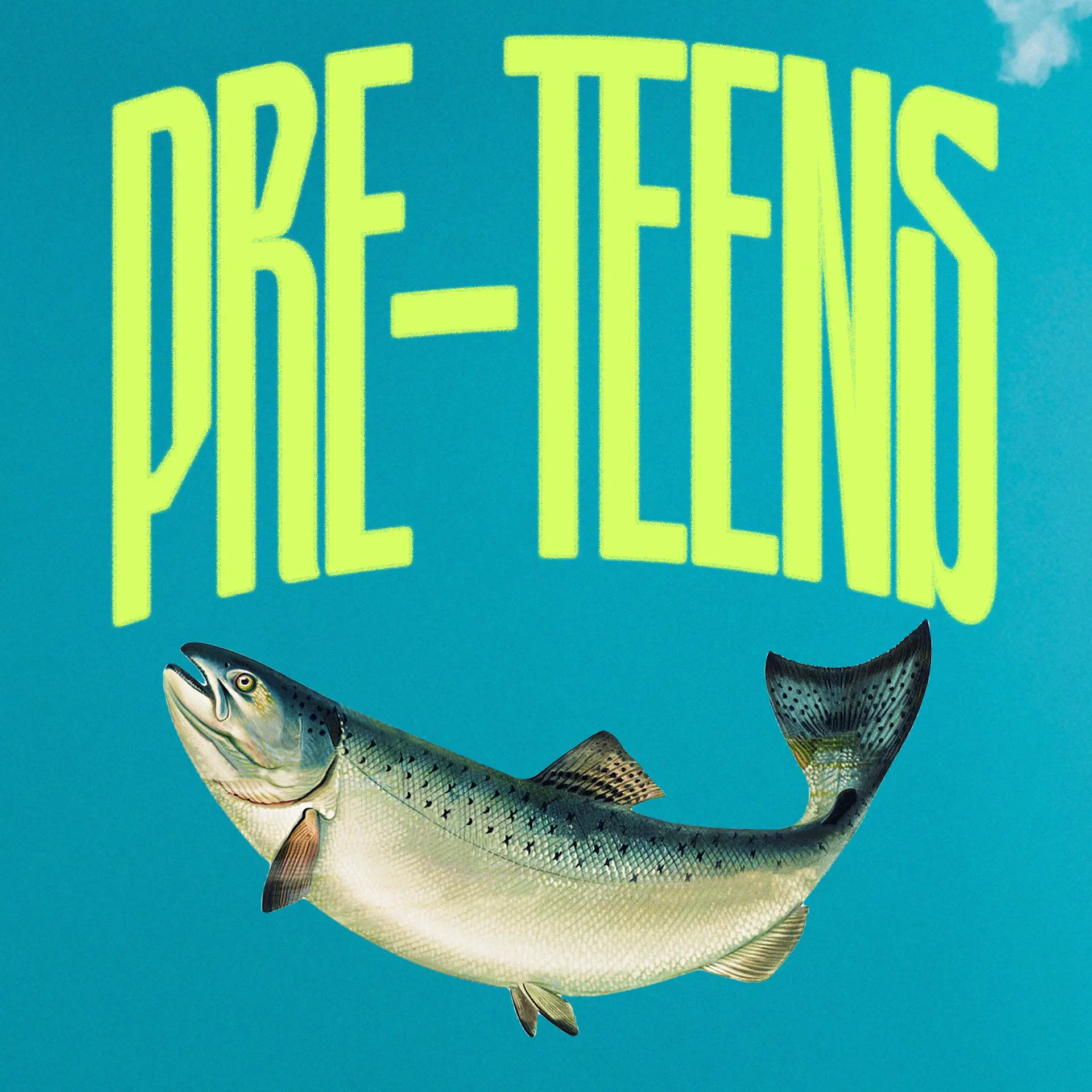 SW25 Biglietto PreTeens Bambini